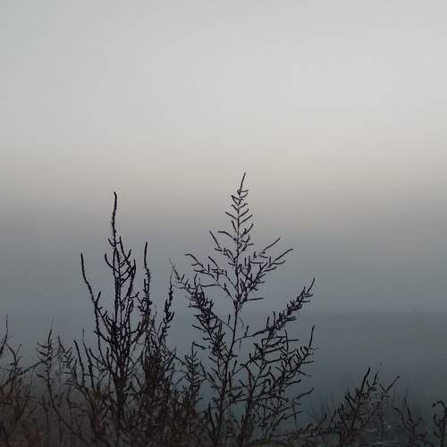 Photo #5799509