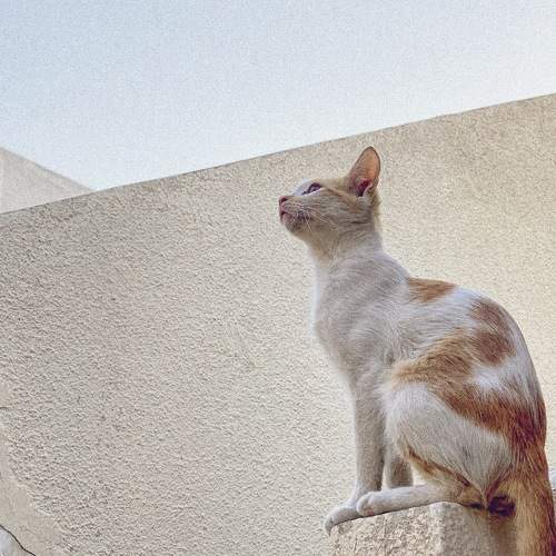 Photo #5799536