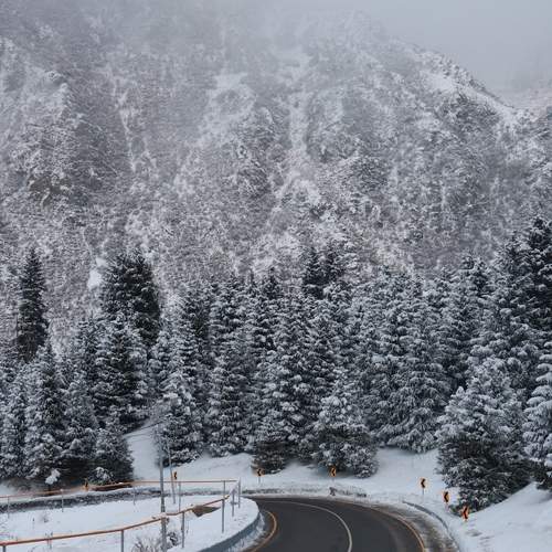 Photo #5799656