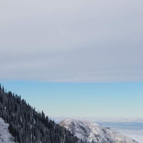 Photo #5799659