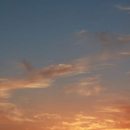 Photo #5799694