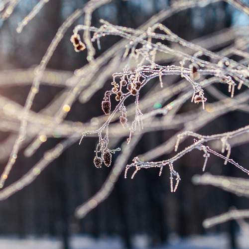 Photo #5799882