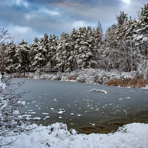 Photo #5799930