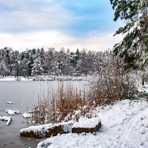 Photo #5800124