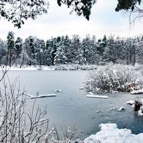 Photo #5800151