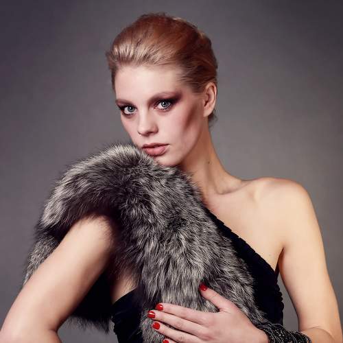 Photo #5800207