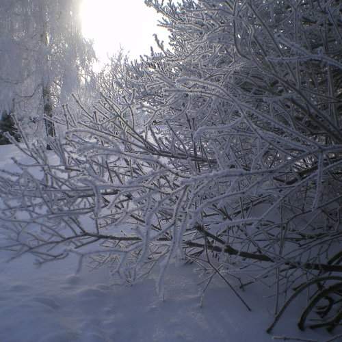 Photo #5800280