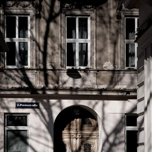 Photo #5800397
