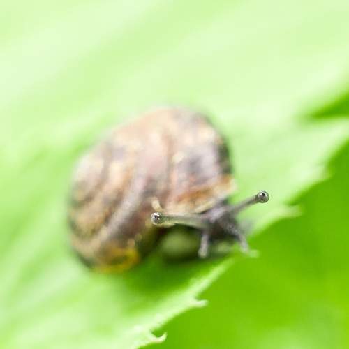 Photo #5800425