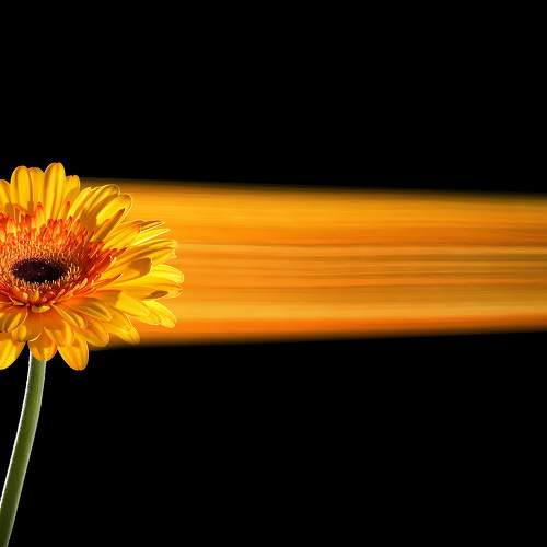 Photo #5800647