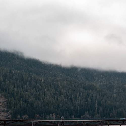 Photo #5800769