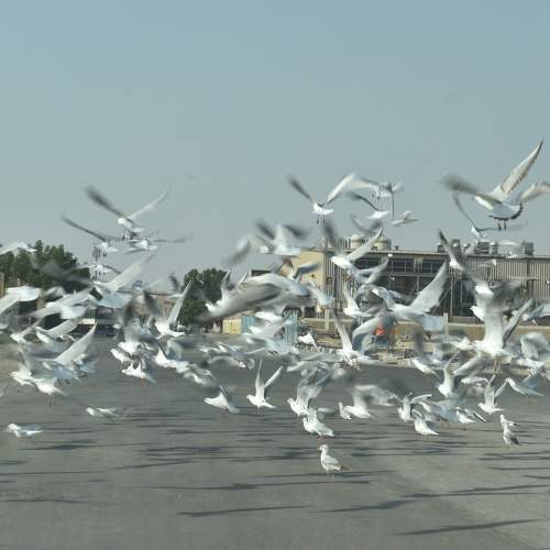 Photo #5800900