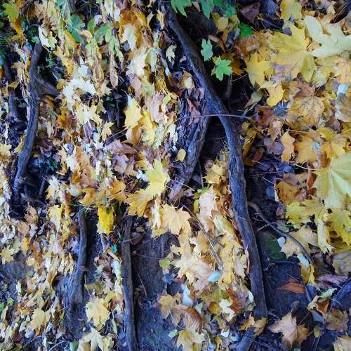 Photo #5800914
