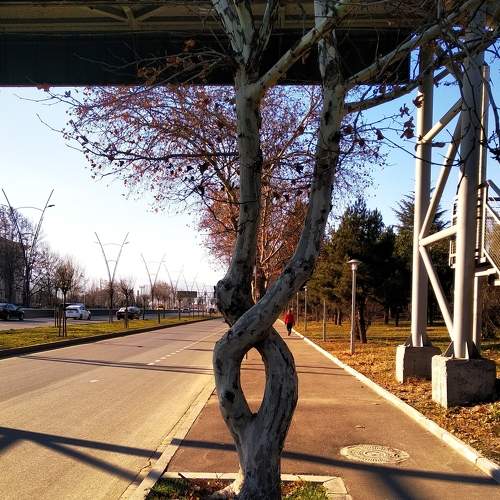 Photo #5800929