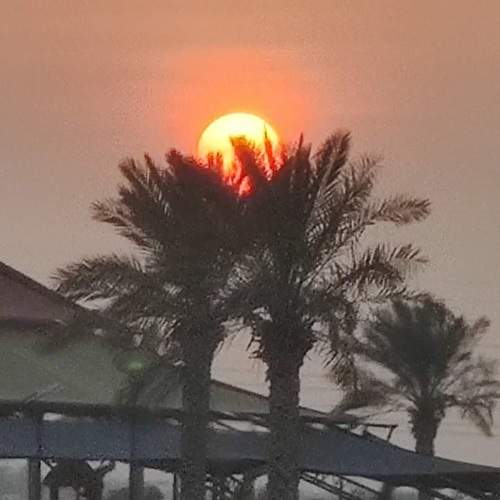 Photo #5800939
