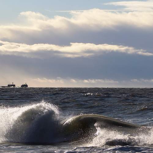 Photo #5800949