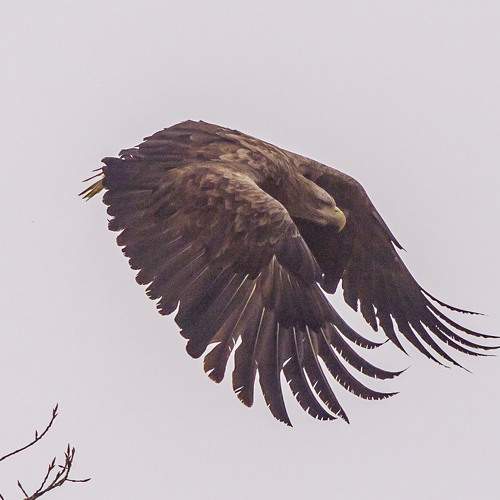 Photo #5800971