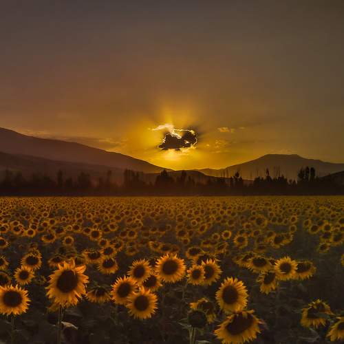 Photo #5801035