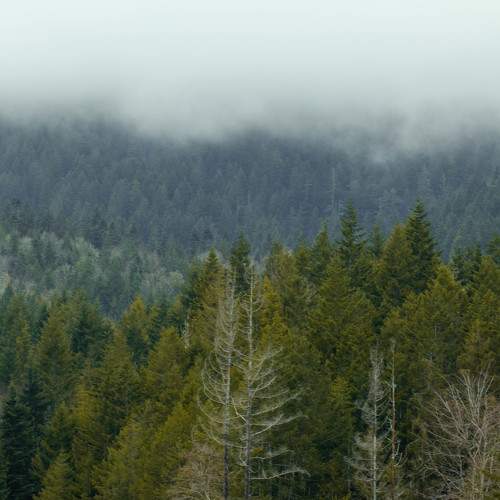 Photo #5801221