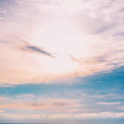 Photo #5801270