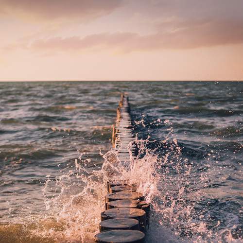 Photo #5801350