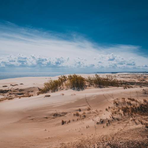 Photo #5801384