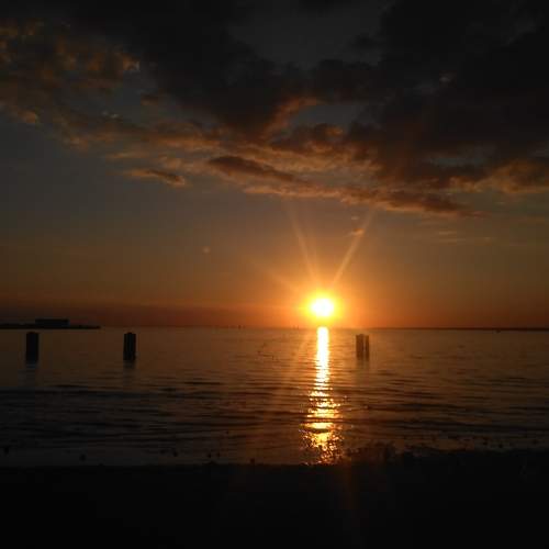 Photo #5801399