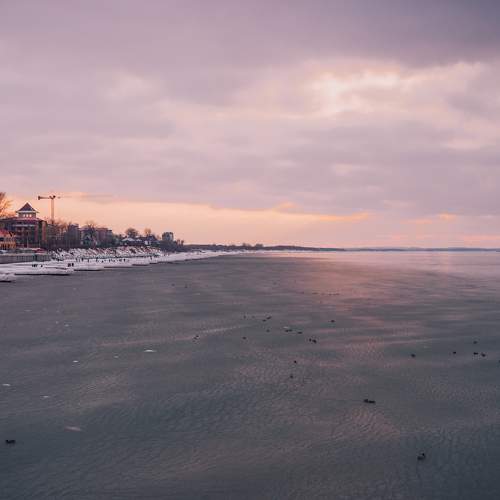 Photo #5801593