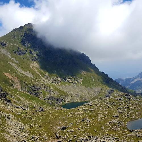 Photo #5801751
