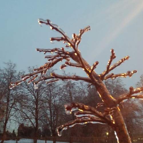 Photo #5801924