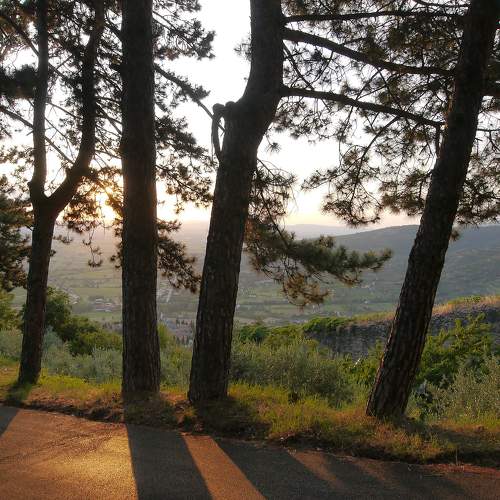 Photo #5801936