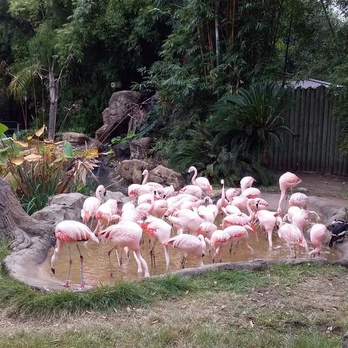 Photo #5802112