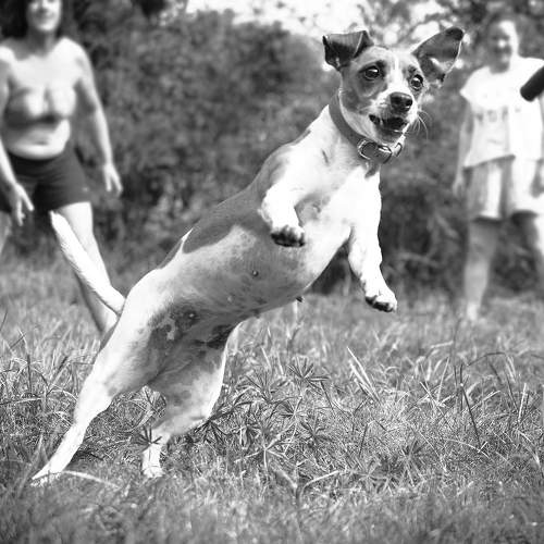 Photo #5802212
