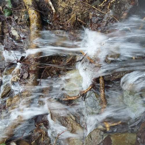 Photo #5802309