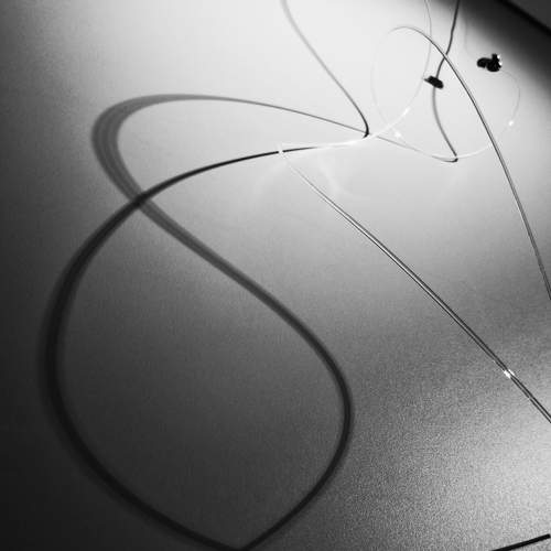 Фотография #5802743