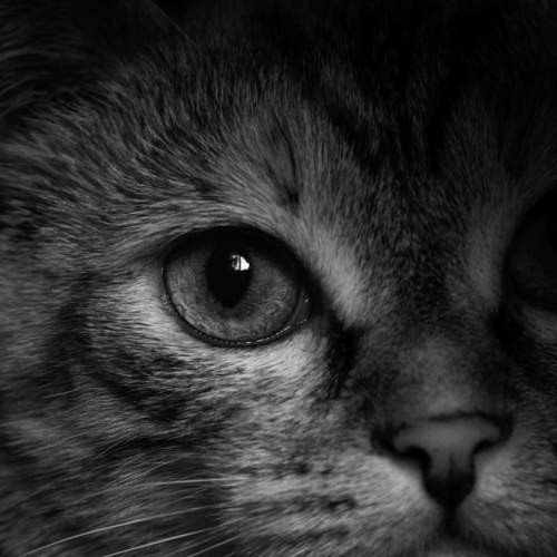 Photo #5802760