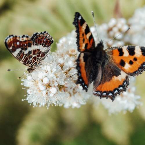 Photo #5802800