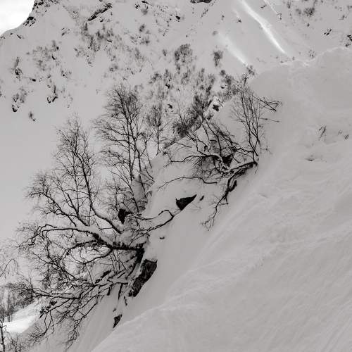 Photo #5802808