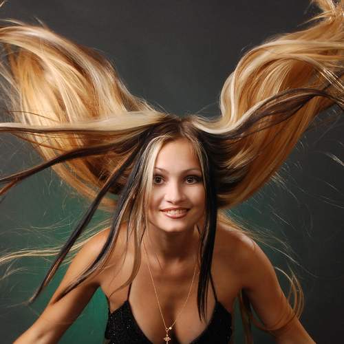 Photo #5802868