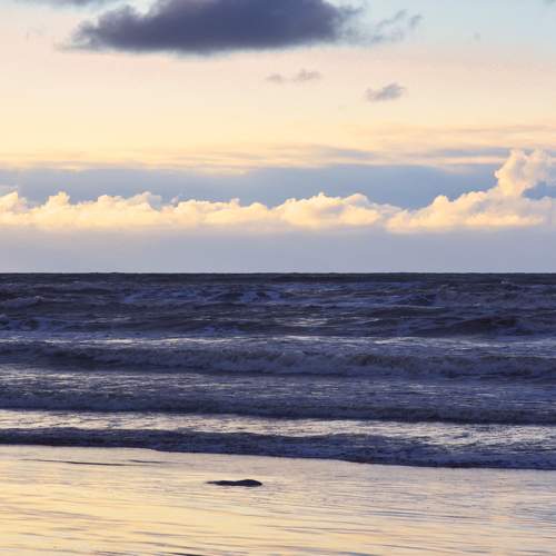 Photo #5802989
