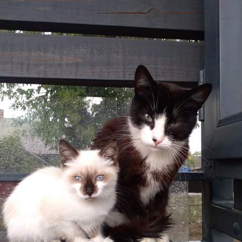 Photo #5803007