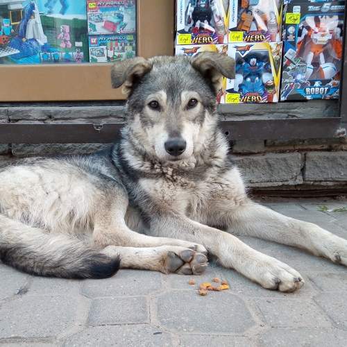 Photo #5803063