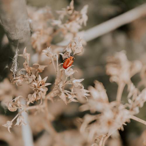 Photo #5803253