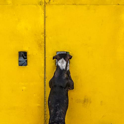 Photo #5803423