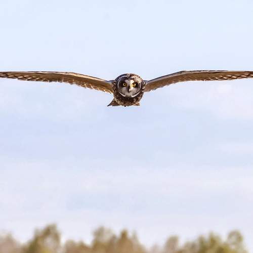Photo #5803521