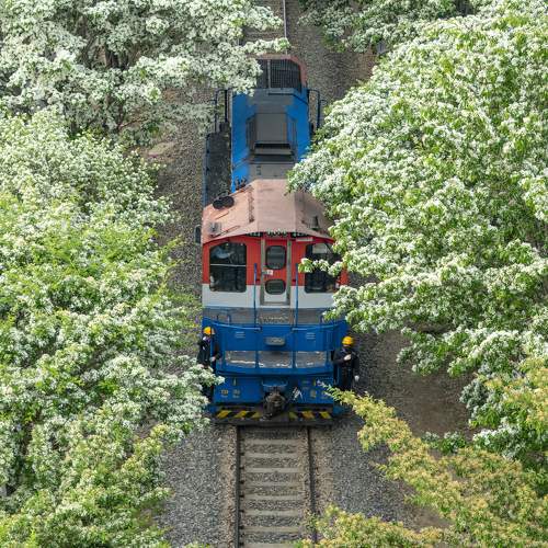 Photo #5803952