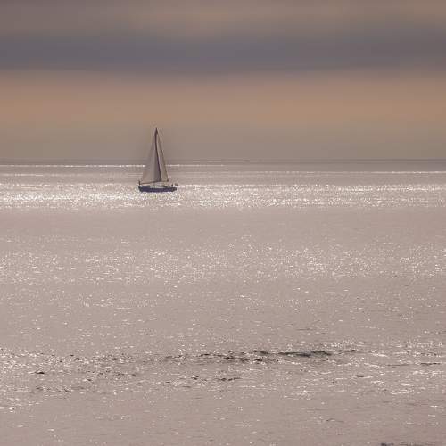 Photo #5804023