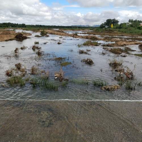 Photo #5804121