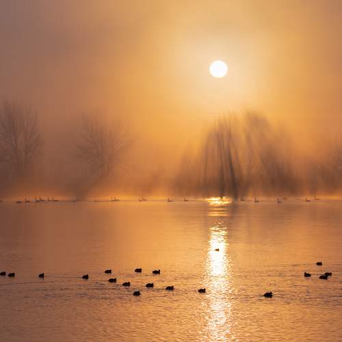 Photo #5804381
