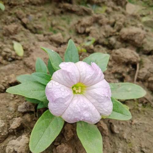 Photo #5804452